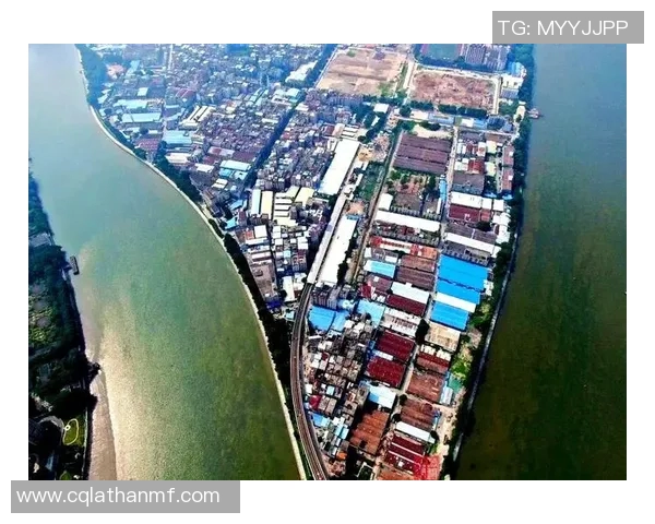 深圳乒乓球队防反革新之路探索与实践的深度剖析与未来展望 深圳乒乓球队防反革新之路探索与实践的深度剖析与未来展望