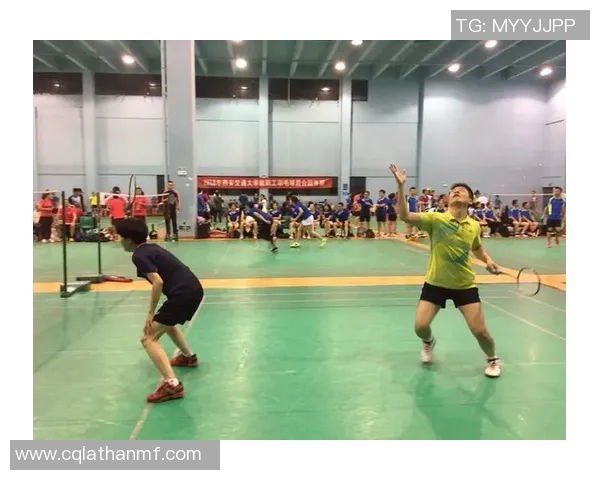 南京羽毛球队在城市联赛中的比赛经验与表现分析