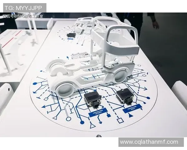 杭州羽毛球队转型之路的挑战与机遇全景揭秘